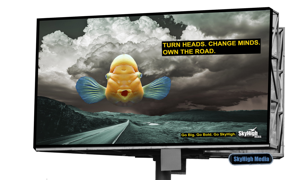 fish board encased 1